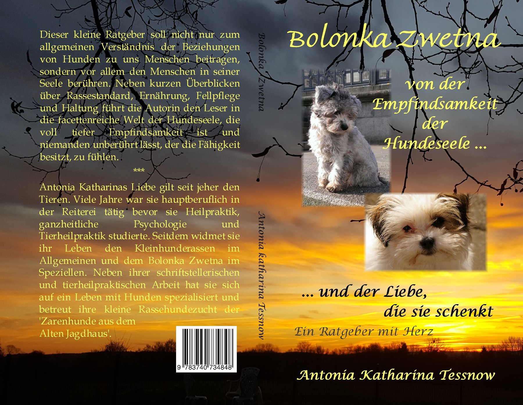 Bolonka Zwetna – Ein Ratgeber mit Herz