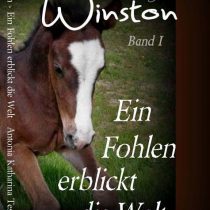 Pferdebuch-Serie Teil 1 – Winston – Ein Fohlen erblickt die Welt